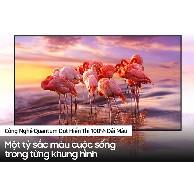 QLED Tivi 4K Samsung QA55Q80AAKXXV 55 inch