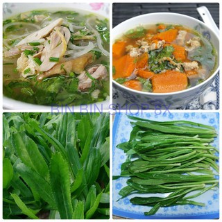 Hạt giống Rau Mùi Tàu ( Răng cưa )