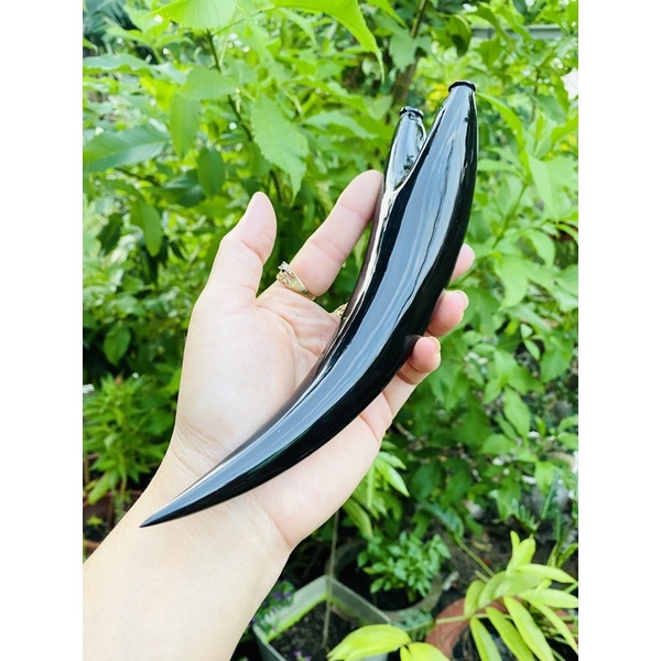 Ná sừng chạc 4-4,5