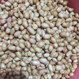 Free ship từ 99k lạc vỏ trắng bóc tay loại 1-1kg