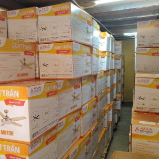 Quạt trần đèn Asia QT01-T-01