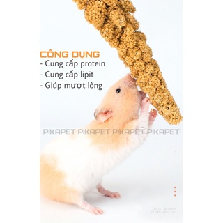 Thức ăn cho hamster kê chùm mượt lông