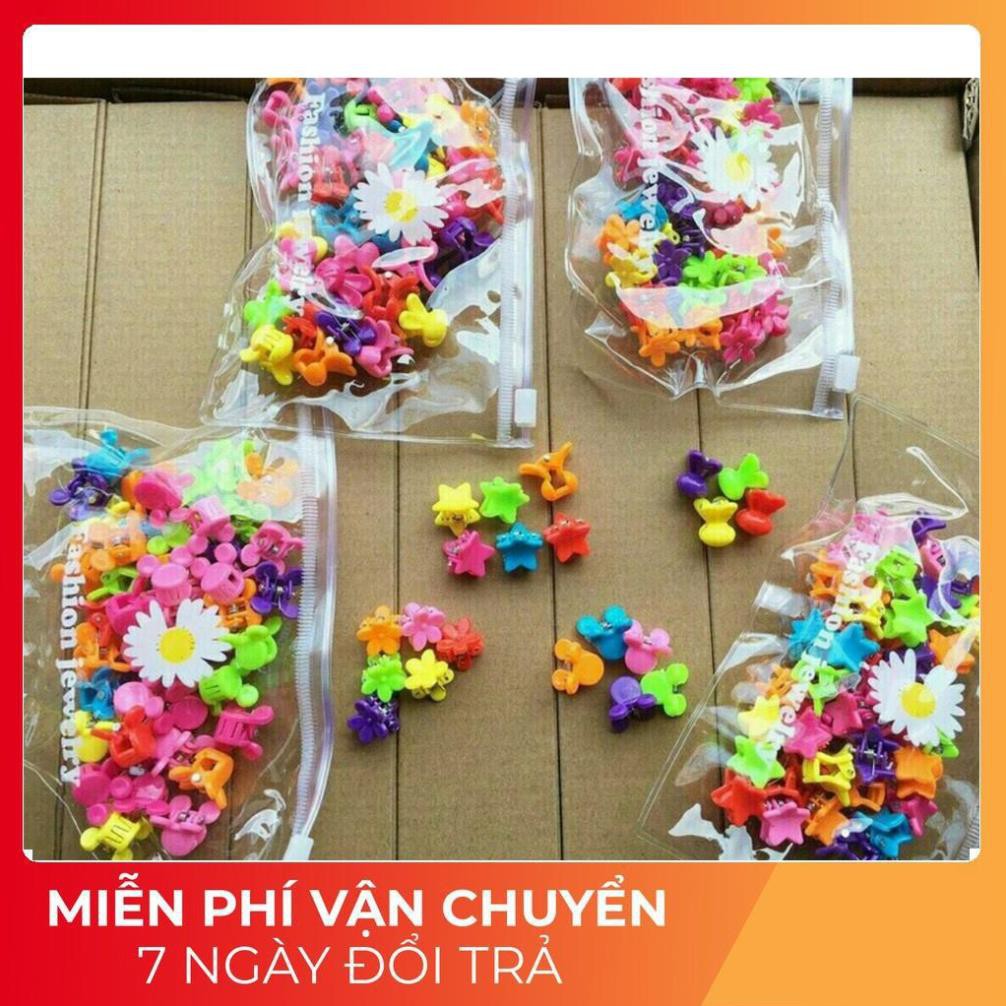 Set 50 Kẹp Tóc Càng Cua Mini