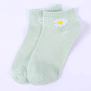 [RẺ VÔ ĐỊCH]Tất Cổ Ngắn Hoa Cúc - Túi 10 Đôi
