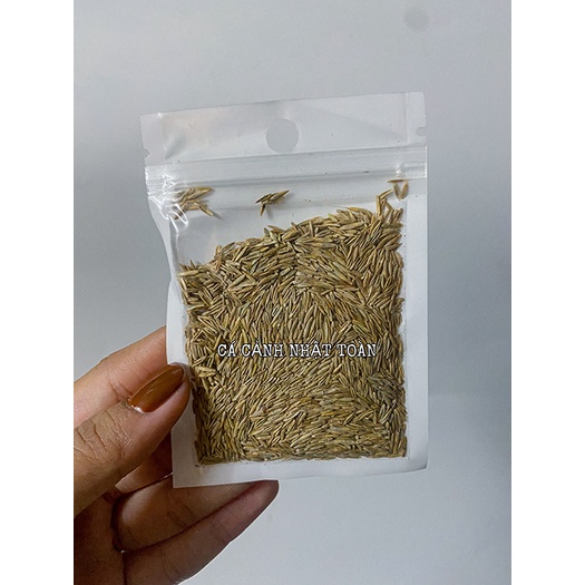 HẠT GIỐNG THỦY SINH NGƯU MAO CHIÊN CAO 10g