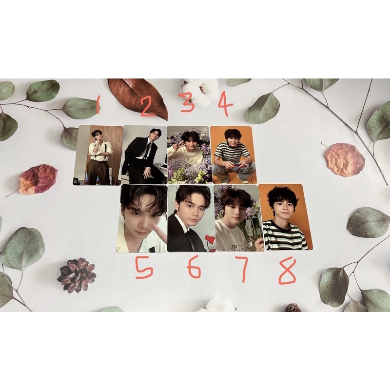 Ảnh Ong MD