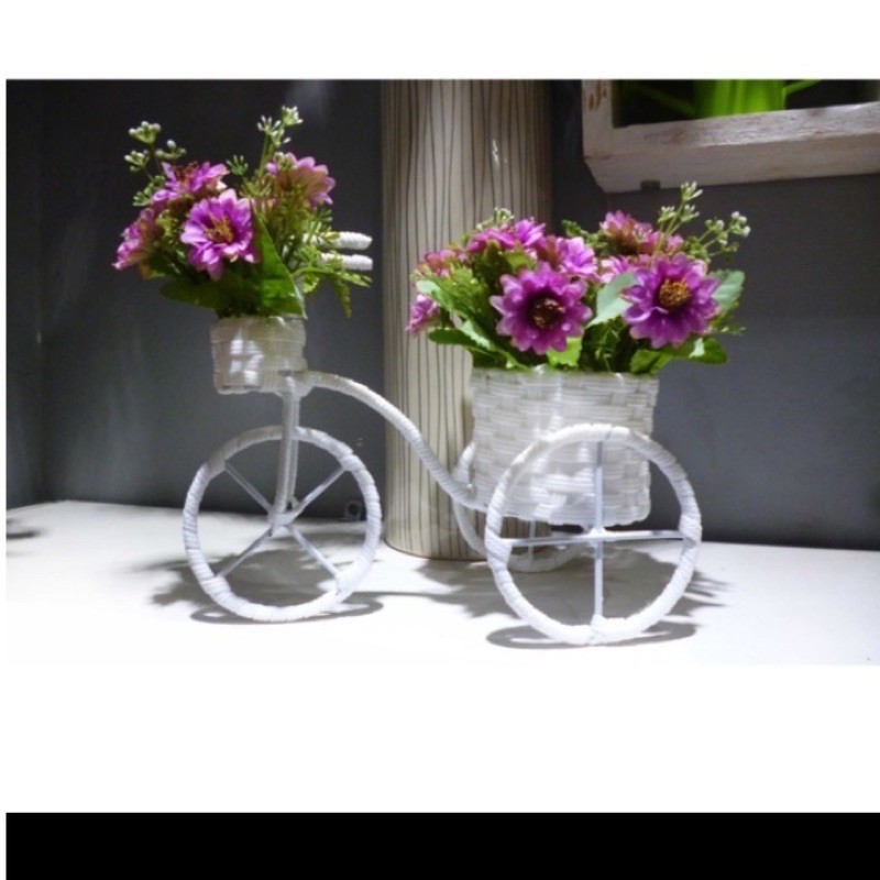 Xe đạp nhựa kèm hoa trang trí giá thanh lí (lấy ngẫu nhiên)