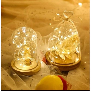 Đèn led 1m 3 chế độ nháy sáng.