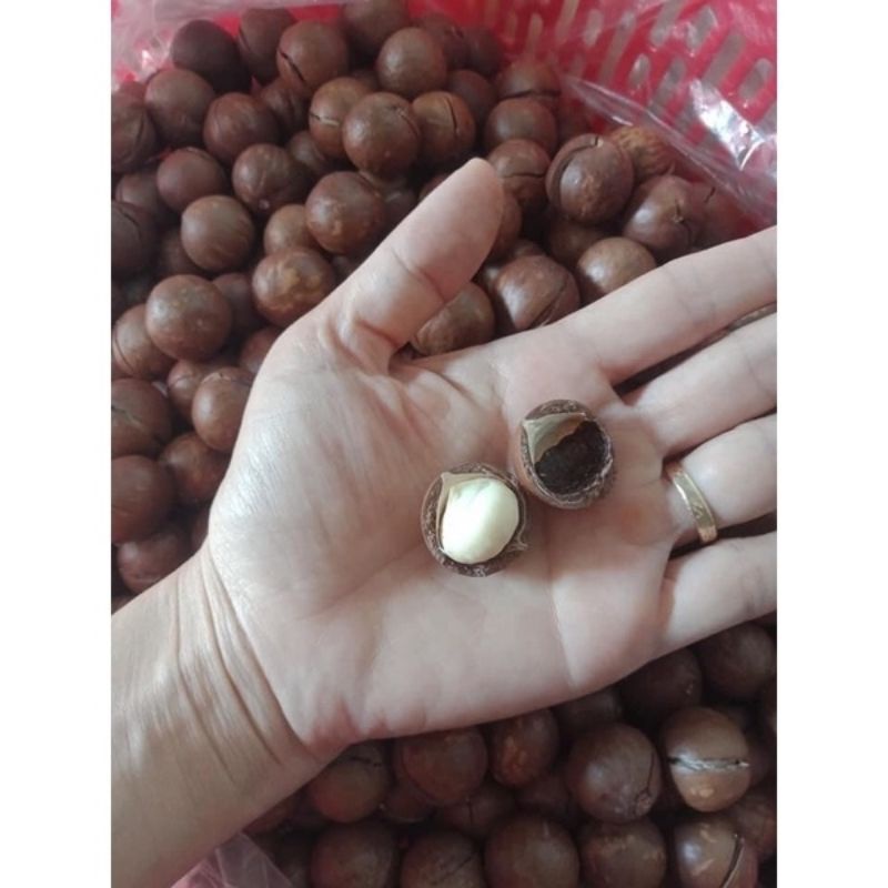 Lọ 500g macca nứt tự nhiên bao ngon
