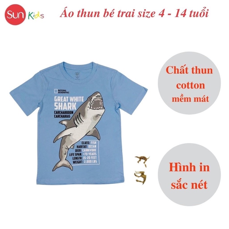 Áo thun bé trai, áo phông cho bé trai chất cotton nhiều màu, size 4-14 tuổi - SUNKIDS1