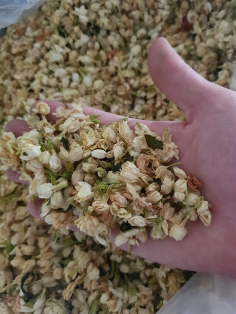 Hoa nhài khô 100g | BigBuy360 - bigbuy360.vn