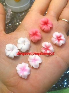 Hoa bột nail 1bông 6k