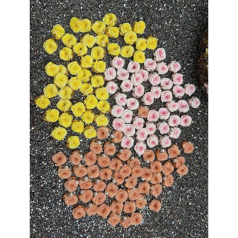 Hoa lan combo 2bông