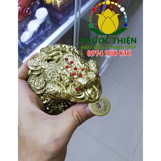 Thiềm thừ Cóc đồng nhỏ - Mệnh Kim, Thổ