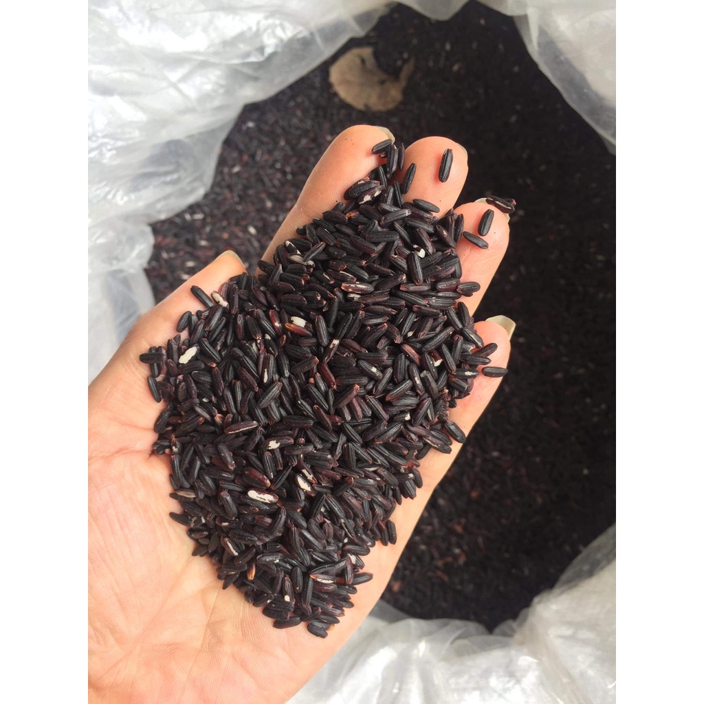 Gạo nếp lứt nguyên cám loại ngon dùng làm cơm rượu 9 Lạng/1 túi