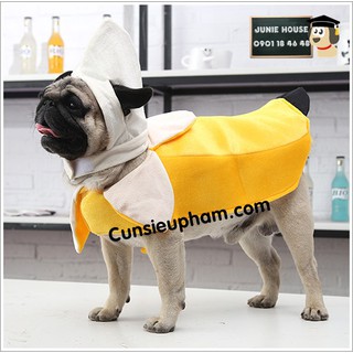 Trang phục quả chuối cho chó mèo