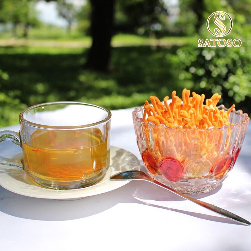 Combo 5 đế đông trùng hạ thảo đế sinh khối tươi thượng hạng ( Tặng 01 đế ) SATOSO SA012