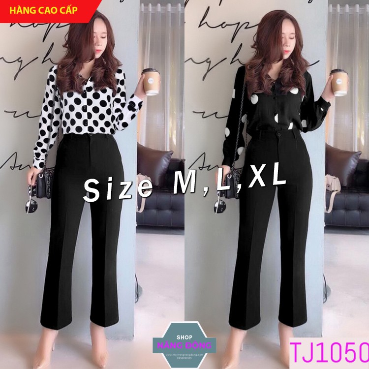 Set Đồ Nữ 🎁FREESHIP🎁Set nguyên bộ quần dài ống suông áo sơ mi tay dài chấm bi TJ1050