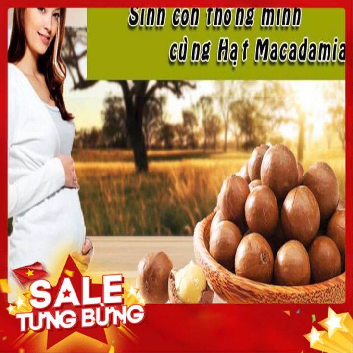 Quả macca sấy chín nứt vỏ  hộp 500gr, giá trị dinh dưỡng cực kỳ cao