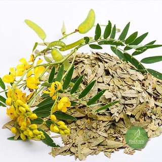 Phan tả diệp khô 200g