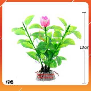 Cây trang trí bể cá mini 10cm - 12cm ( Bằng nhựa )