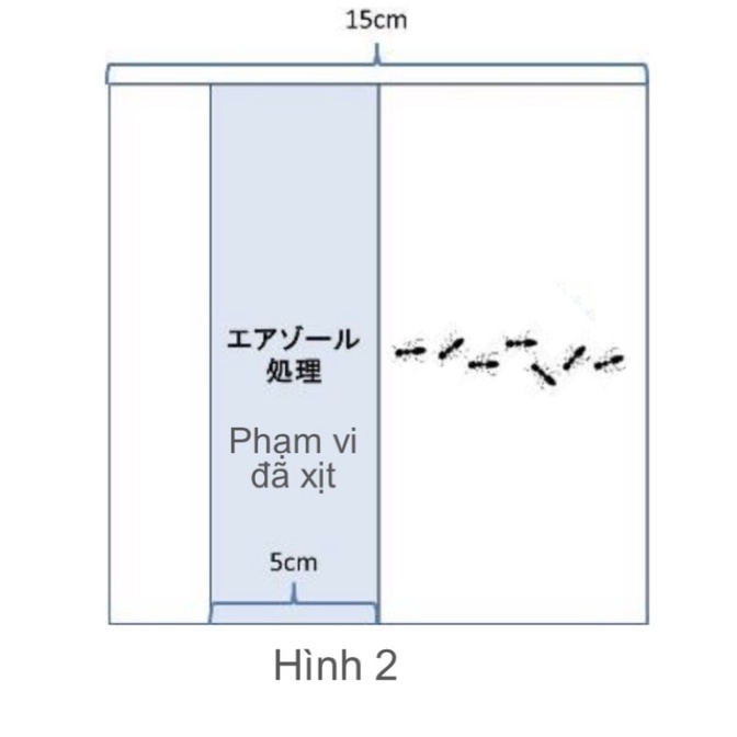 Bình xịt diệt Kiến ARS Jet Ant Hương Hoa Anh Đào 500ml Ngăn kiến quay trở lại diệt tận ổ kiến vòi xịt nhỏ NHẬP KHẨU NHẬT