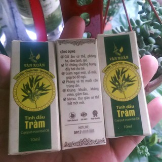Cajeput Essential Oil - Tinh dầu tràm 10ml