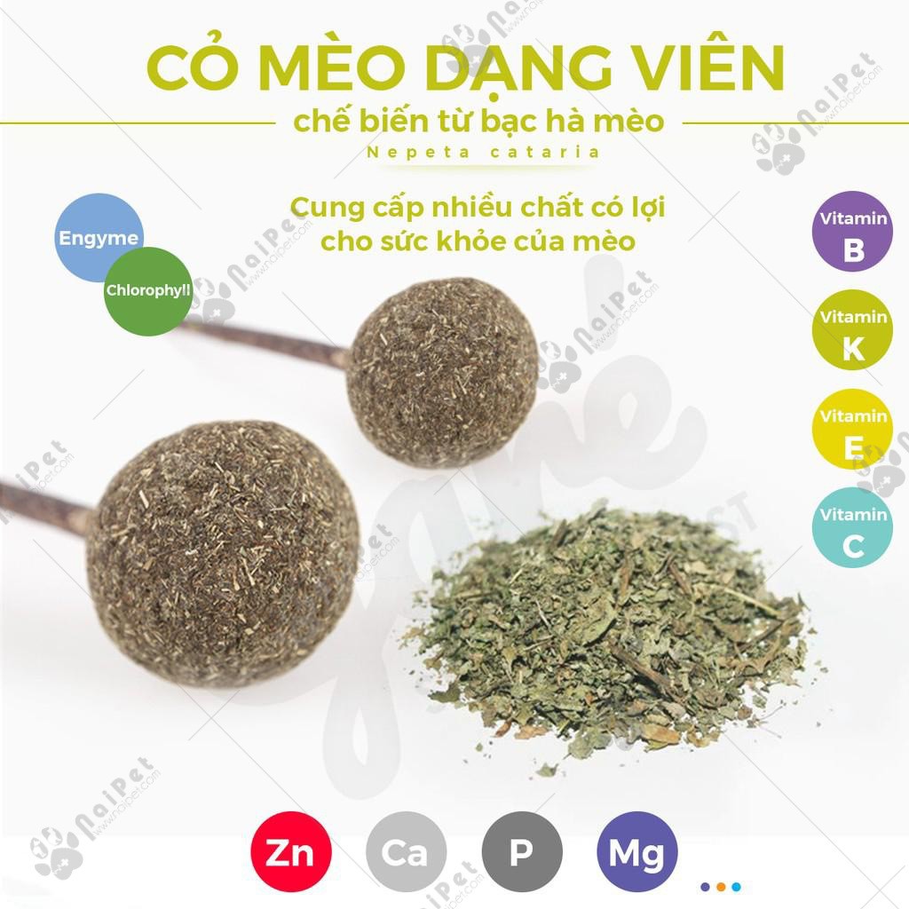 Cỏ Catnip Cỏ Bạc Hà Viên Nén Dạng Kẹo Mút Cho Mèo CCN007