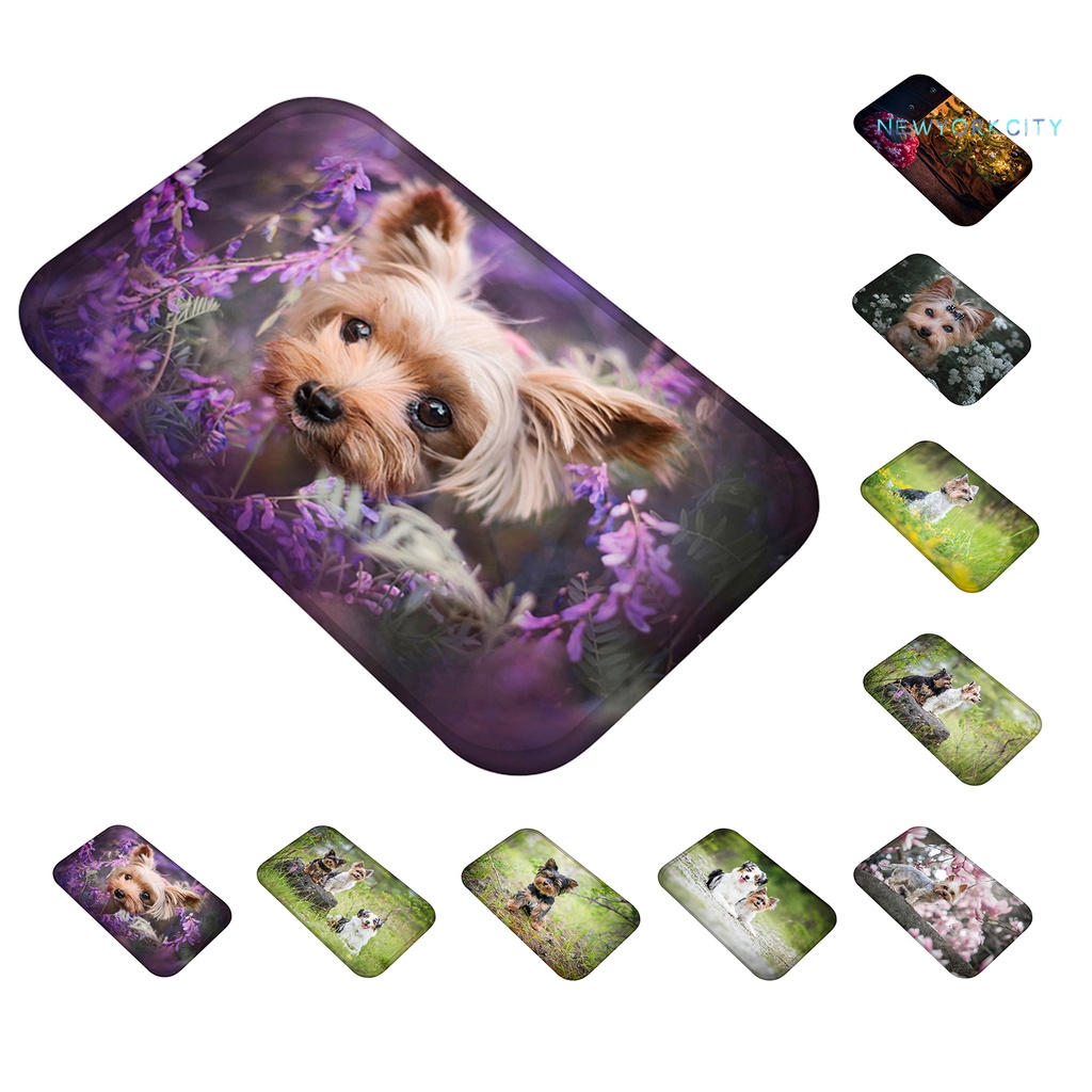 Thảm lót cửa chùi chân Vải Flannel Mềm Mại Thoải Mái Chạm Cảm Ứng In Họa Tiết Hoạt Hình