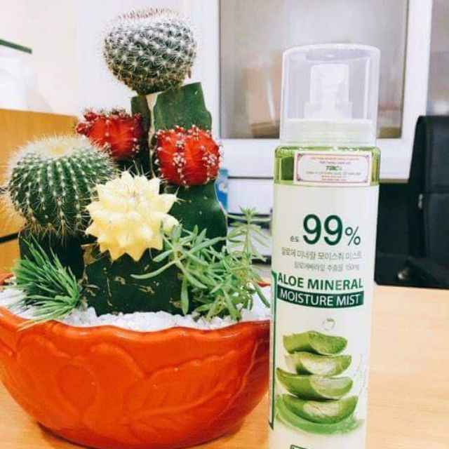 xịt khoáng Lô Hội Alovera Dabo 100 ml  - Benew150 ml