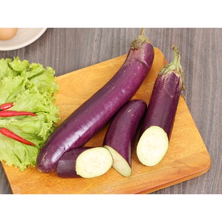 BOUNCE BACK 1kg Phân hữu cơ tan chậm Úc235
