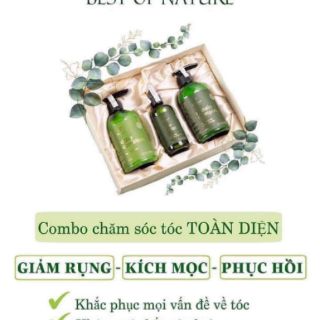 Bộ set combo 3 món dưỡng tóc Vi Jully