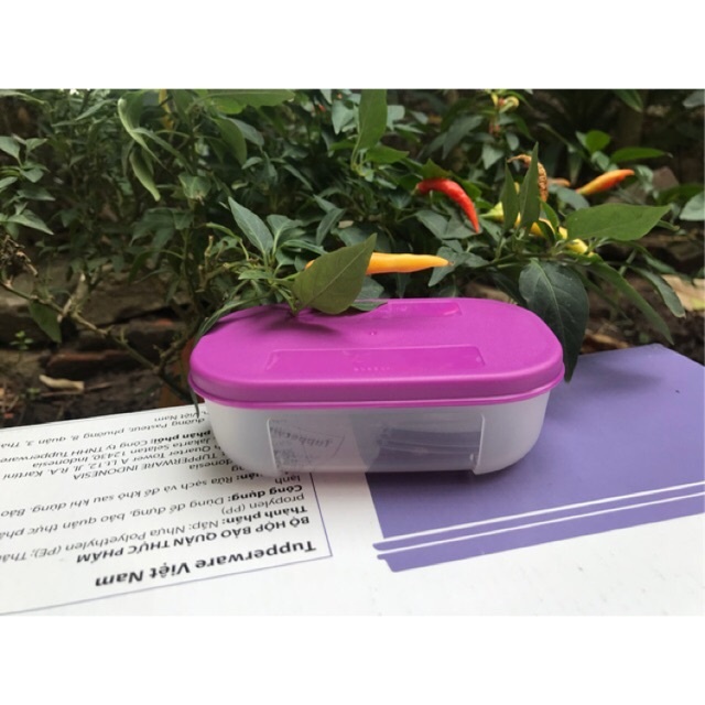 Hộp Đông Mini Square 140ml / 170ml  - Tupperware