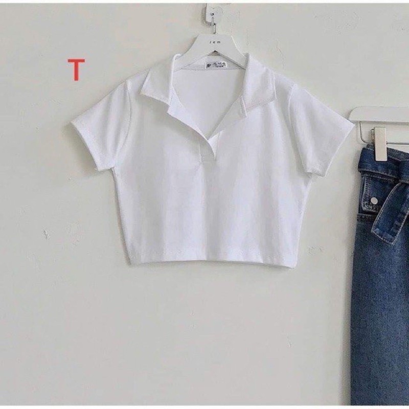 Áo Croptop Polo Basic CT14