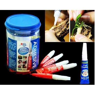 KEO DÁN RÊU- DÁN RÊU, NANA, BUCEP, CÂY THỦY SINH...