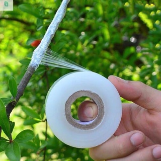Băng keo chuyên dụng quấn mối ghép cây, cành-
