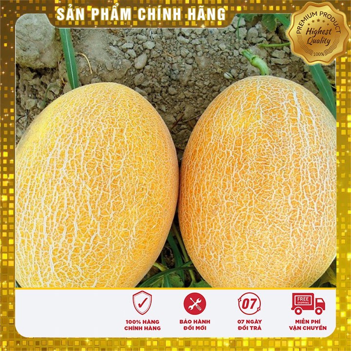 Hạt Giống Dưa Lưới Lõi Vàng Oval  (10 hạt)