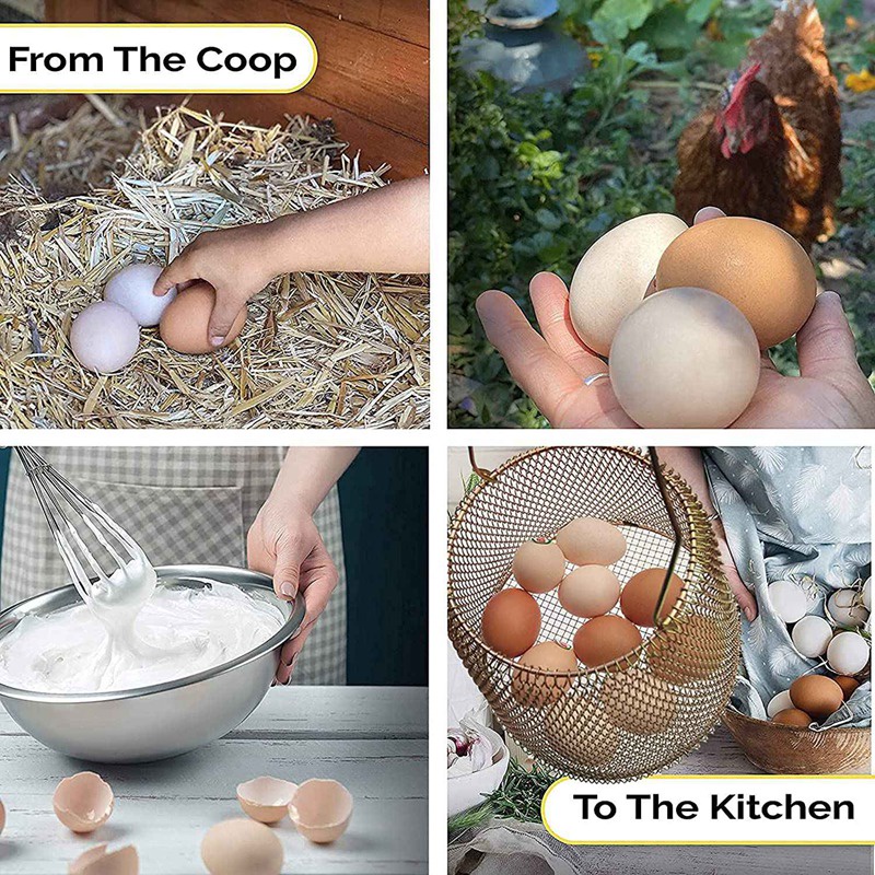 Rổ Đựng Trứng Mini Dễ Dàng Mang Theo Tiện Dụng