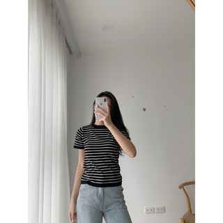Áo len kẻ mỏng One tay cộc AP319 1994closet