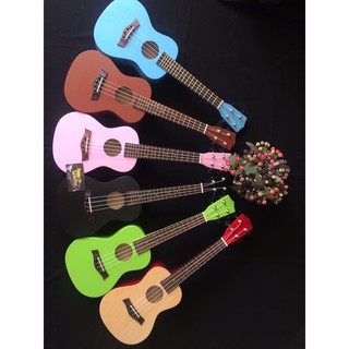 Đàn Ukulele Concert MT39 ( CB3 )
