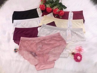 Bán sỉ quần chip cotton pha ren 1483