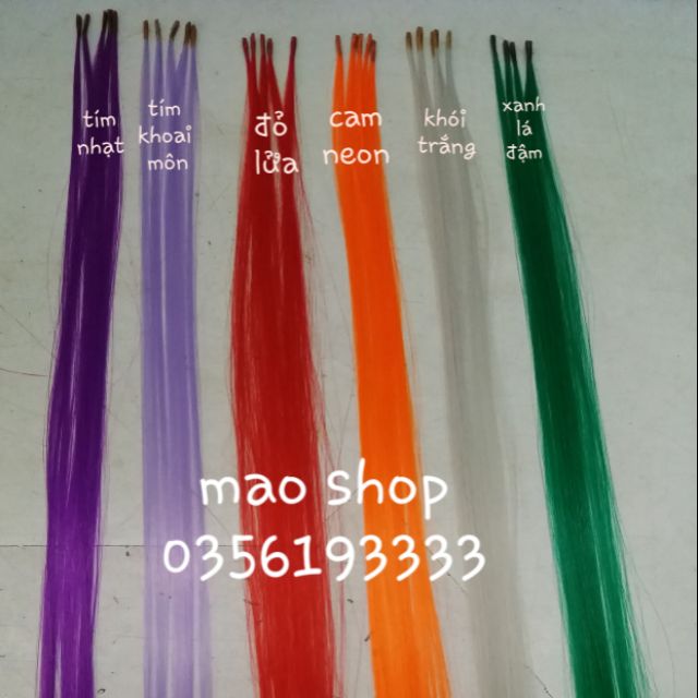 Đơn light cho khách