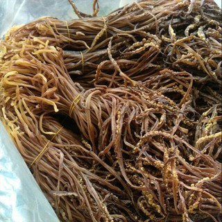 Giá Sỉ - Râu Mực Khô - Giá Sỉ Rẻ Nhất