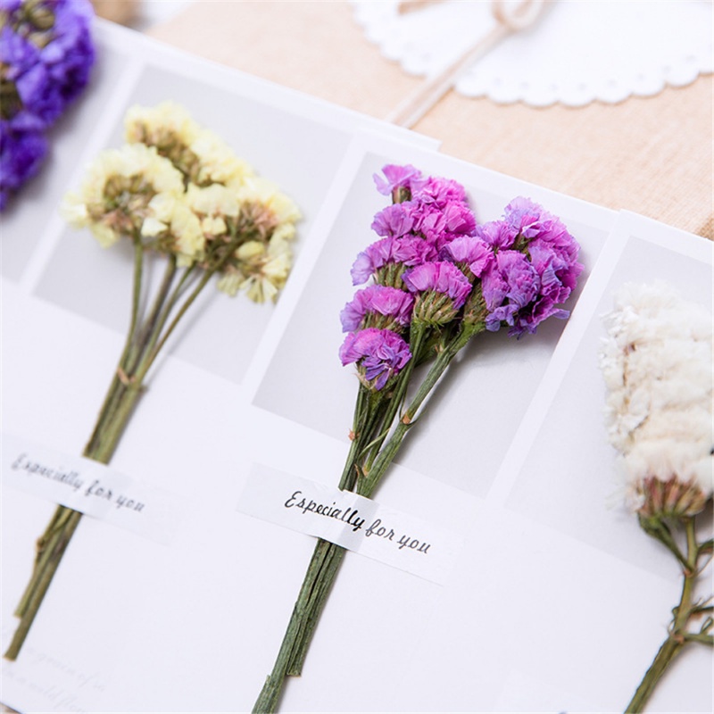 Thiệp Mời Đám Cưới Họa Tiết Hoa Khô Sáng Tạo