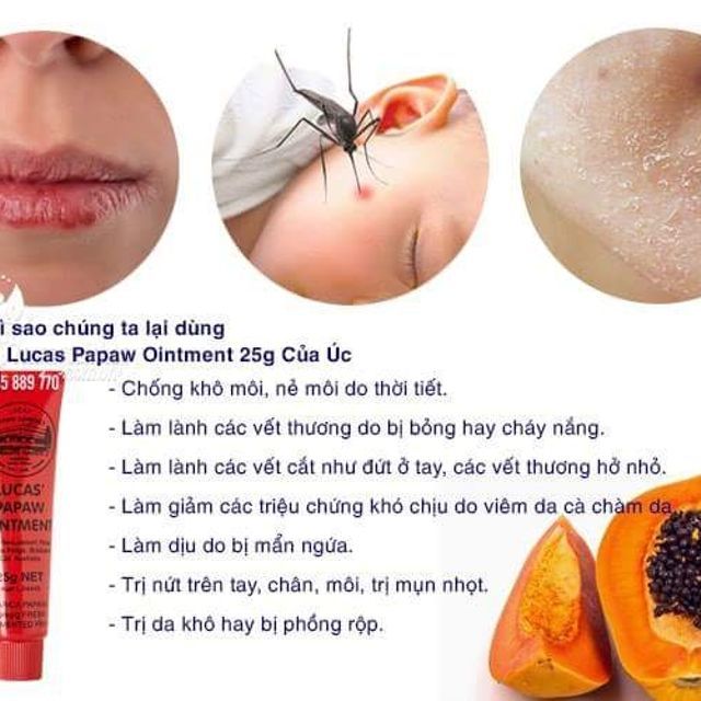 Kem Đa Năng Lucas Papaw Ointment