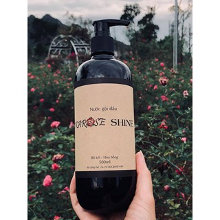 Combo 2 chai nước gội Karose