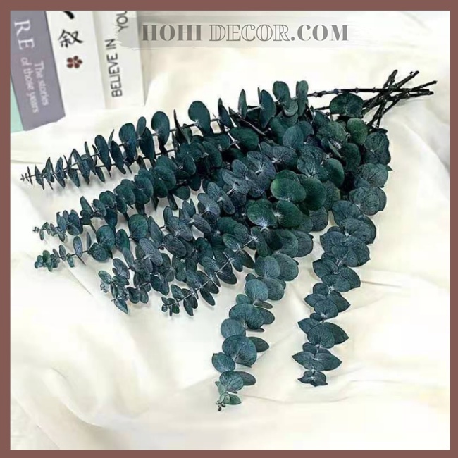 Cành Lá Bạch Đàn (Khuynh Diệp) Khô Trang Trí Chụp Ảnh Sản Phẩm, Decor Bàn Học