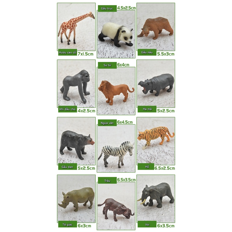 Đồ chơi mô hình theo chủ đề động vật, khủng long, cá biển nhiệt đới size trung 5-10 cm cho trẻ học tập và nhận biết