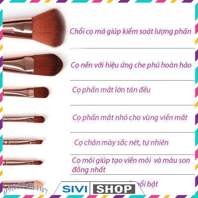 Bộ cọ trang điểm Bioaqua 7 chi tiết