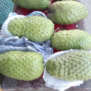 MỨT MÃNG CẦU